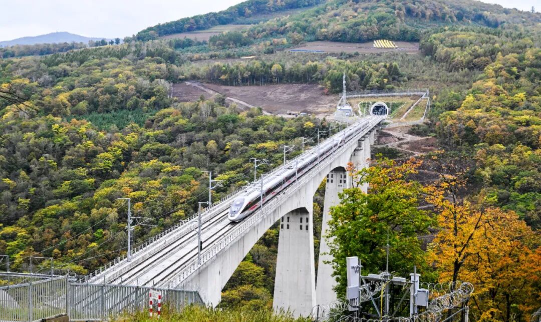 �й�304am����������׸�����ͨ